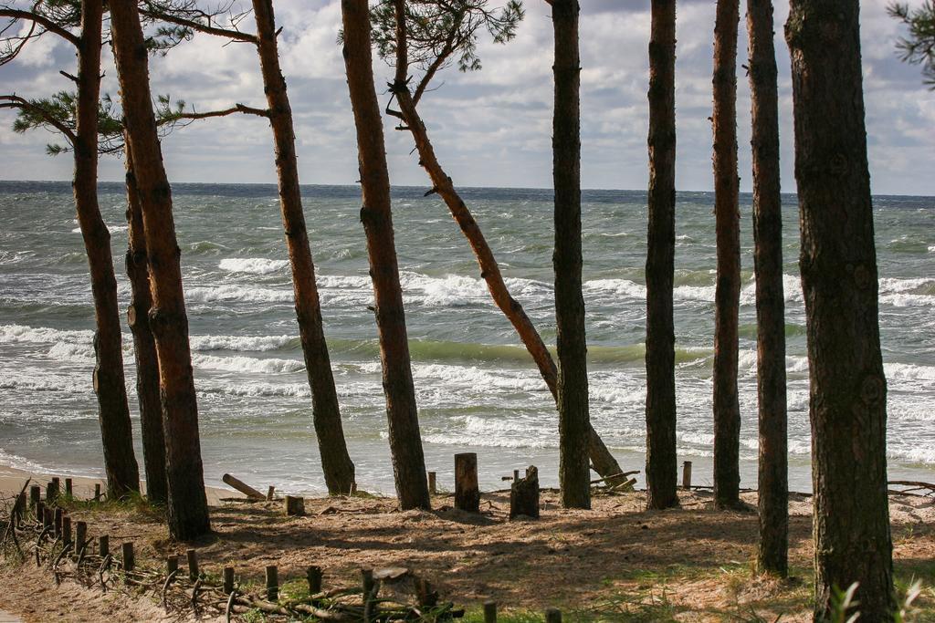 Vila Medus Palanga Esterno foto