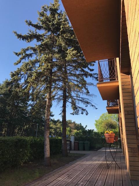 Vila Medus Palanga Esterno foto