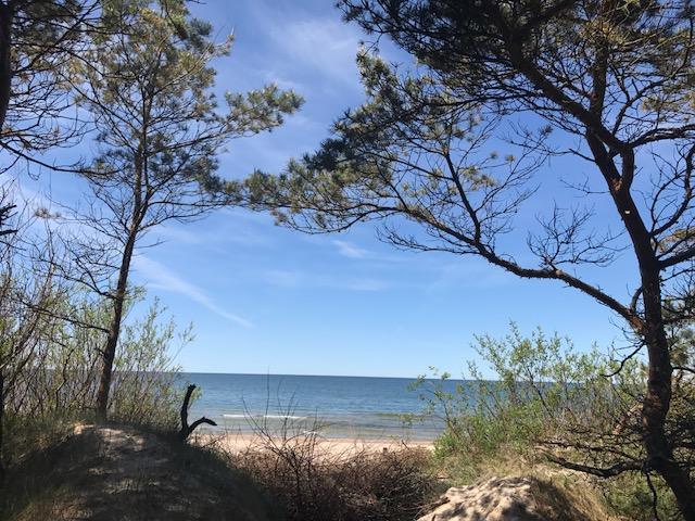 Vila Medus Palanga Esterno foto