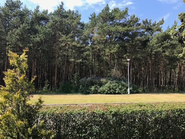 Vila Medus Palanga Esterno foto